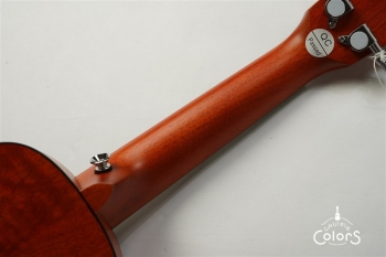 Exotic Mahogany Soprano Ukulele w/EQ